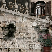 Wall_Art_Alphabet_Photography_Art_ 1143